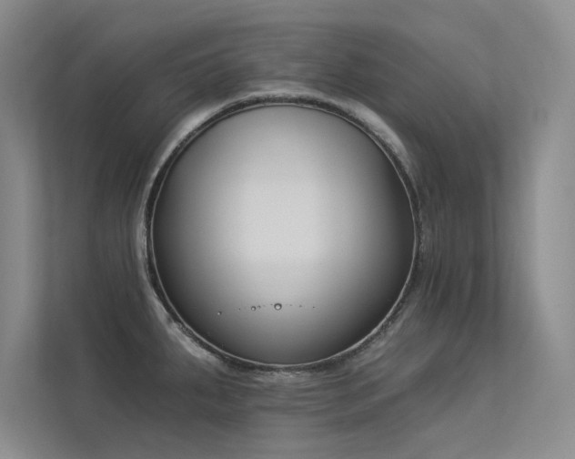 X0000113361287200909151228
