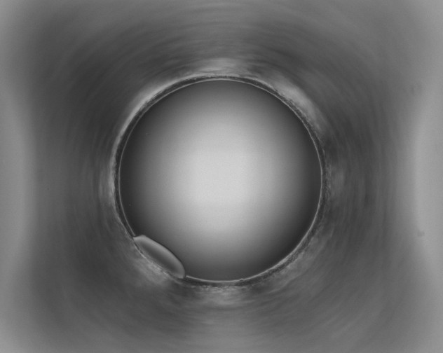X0000113361288200909151228