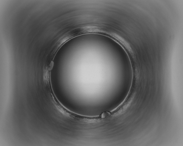 X0000113361289200909151228