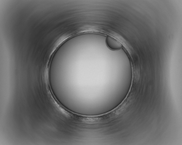 X0000113361290200909151228