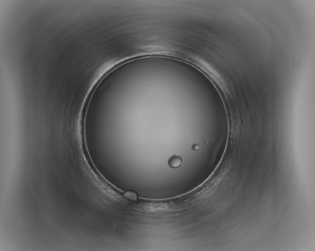 X0000113361291200909151228