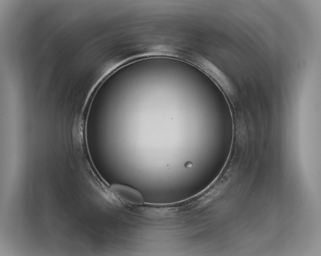 X0000113361292200909151228