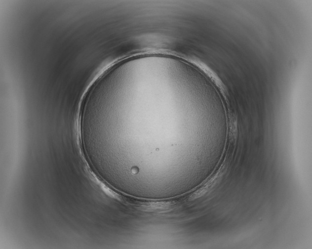 X0000113361294200909151228