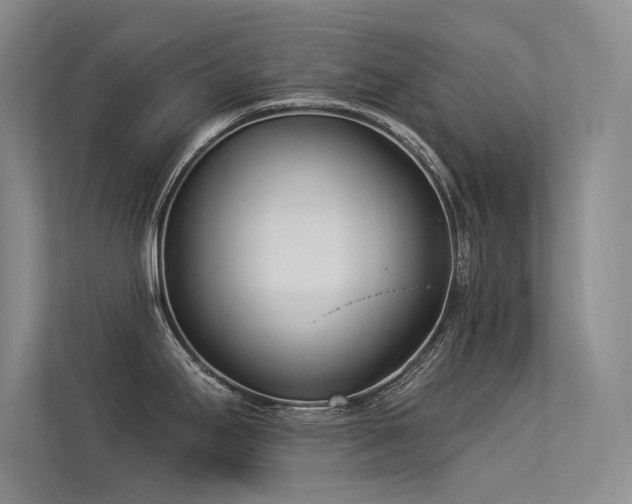 X0000113361295200909151228