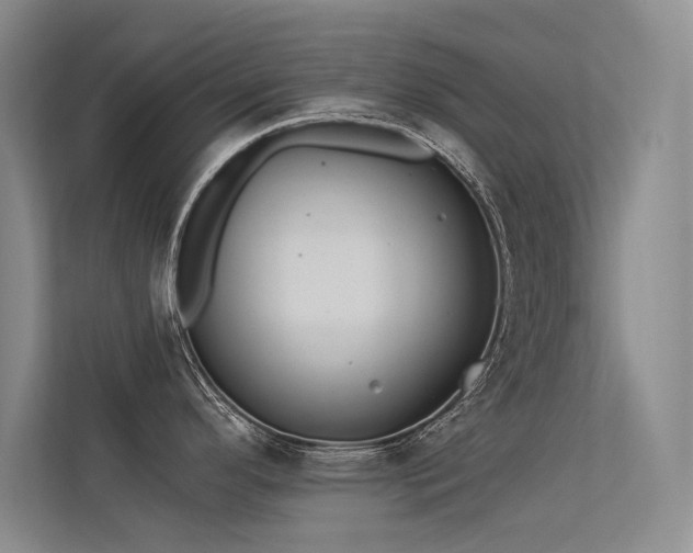 X0000113361296200909151228