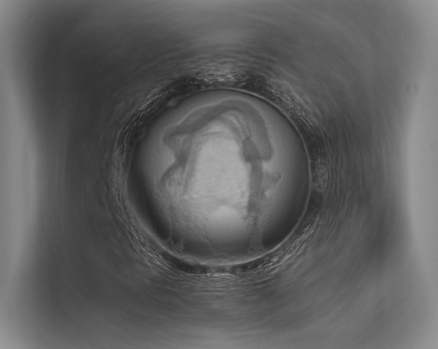 X0000113361297200909151227