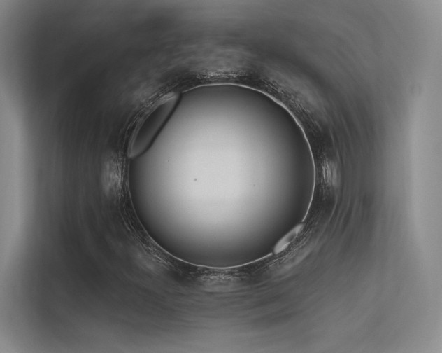 X0000113361300200909151227