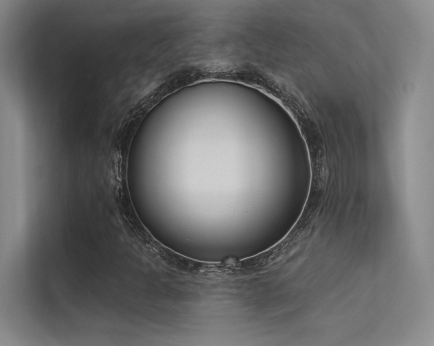 X0000113361301200909151227