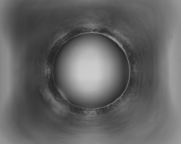 X0000113361302200909151227