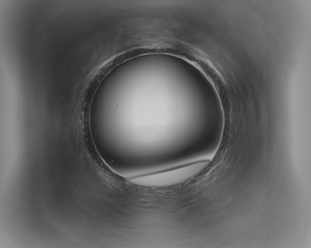 X0000113361304200909151227