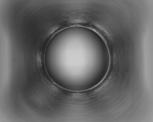 X0000113361305200909151227