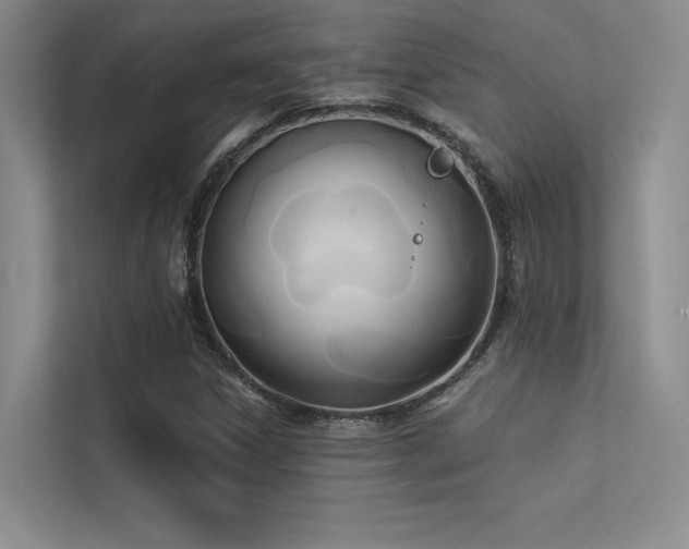 X0000113361306200909151227
