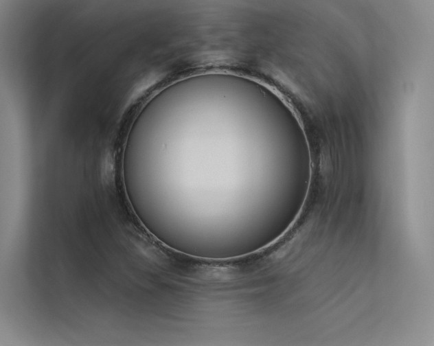 X0000113361309200909151227