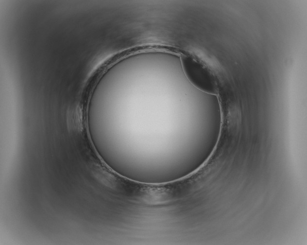 X0000113361310200909151227