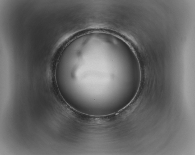 X0000113361311200909151227