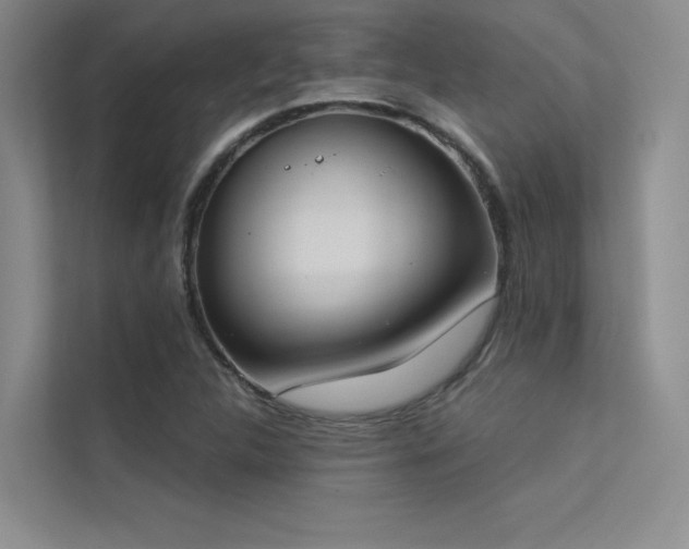 X0000113361312200909151227