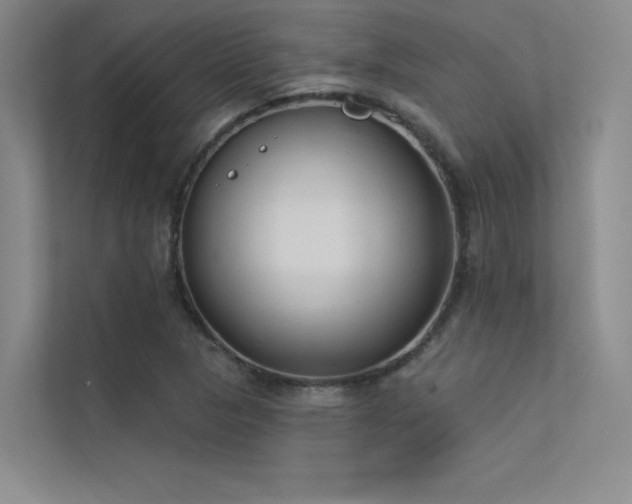 X0000113361313200909151227