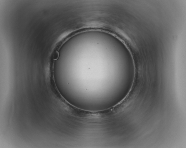 X0000113361315200909151227