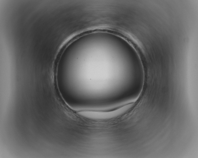 X0000113361316200909151227