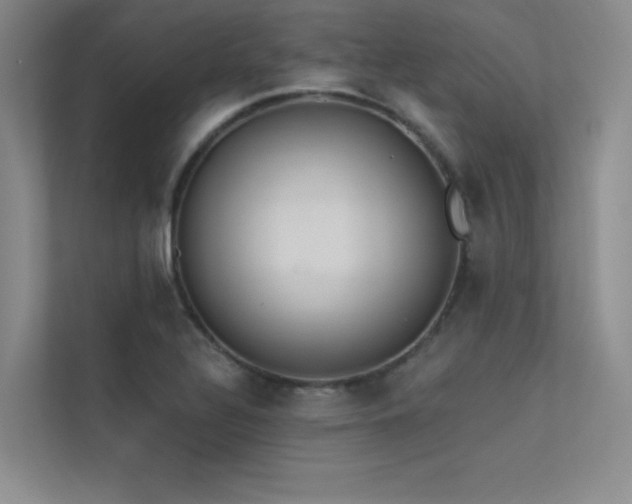 X0000113361320200909151227