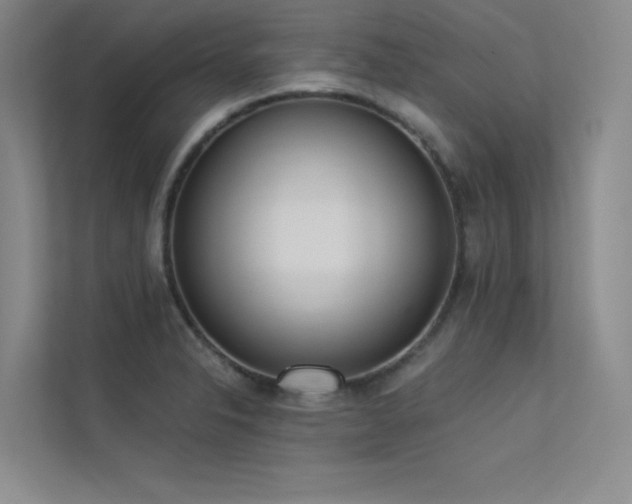 X0000113361326200909151227