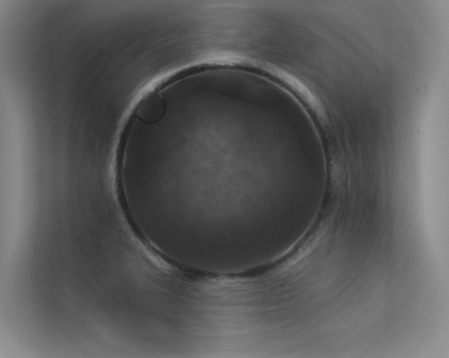 X0000113361327200909151227