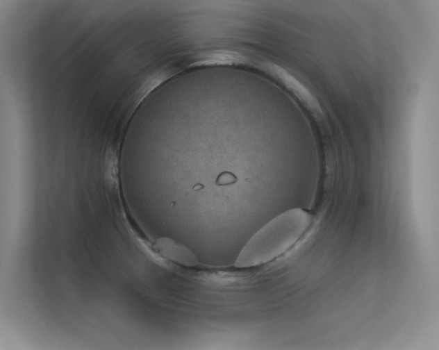 X0000113361329200909151227