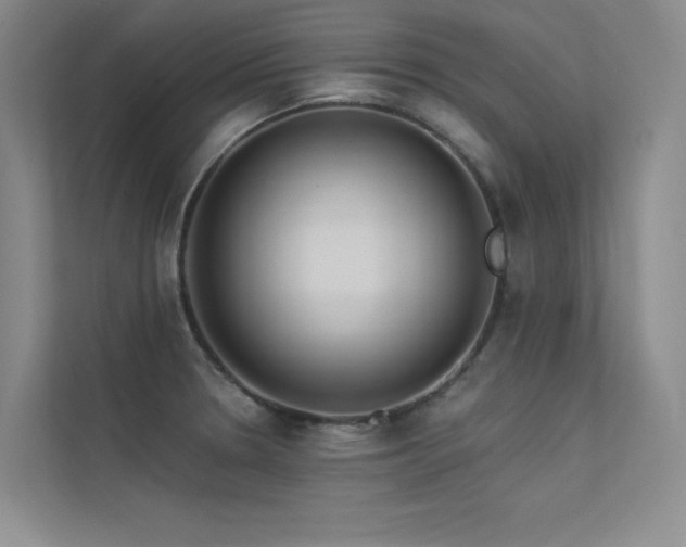 X0000113361330200909151227