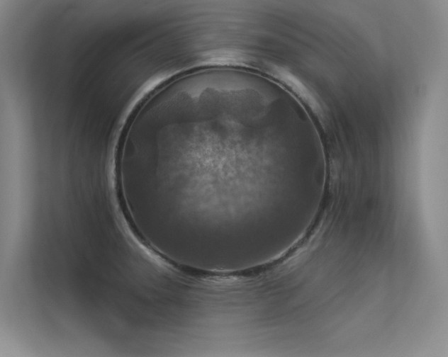 X0000113361331200909151227