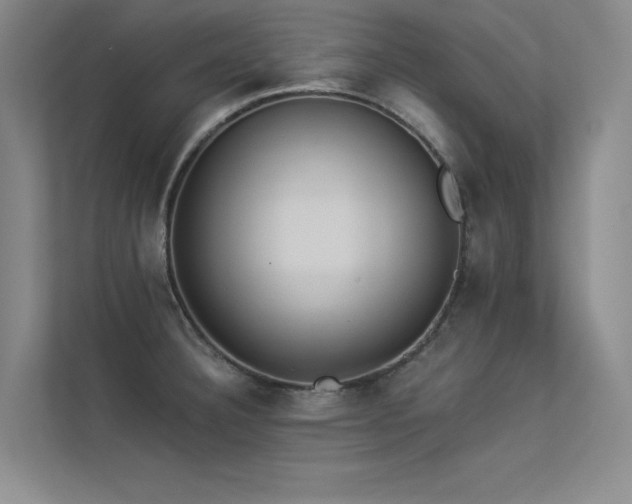 X0000113361332200909151227