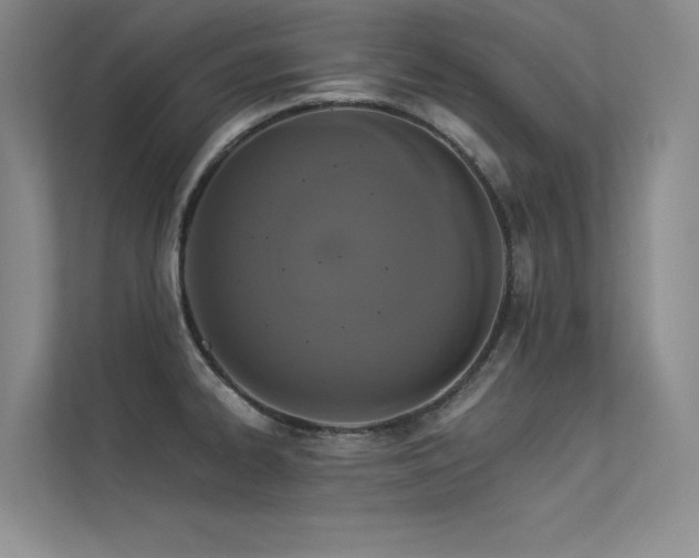 X0000113361334200909151227