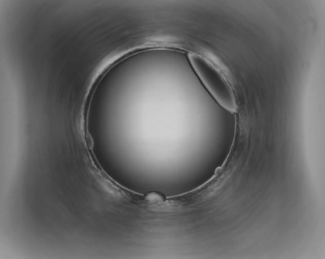 X0000113361336200909151227