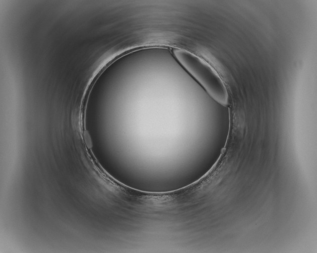 X0000113361340200909151228