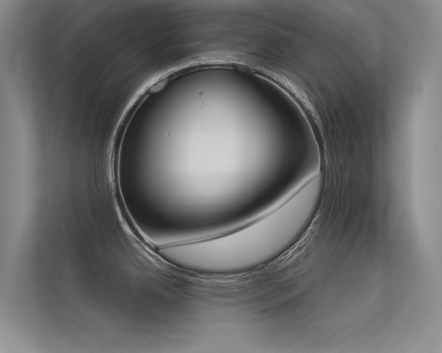 X0000113361342200909151228
