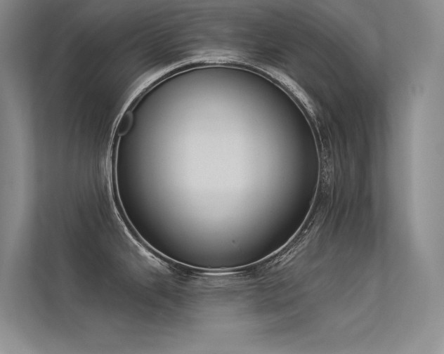 X0000113361343200909151228