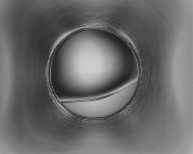 X0000113361344200909151228