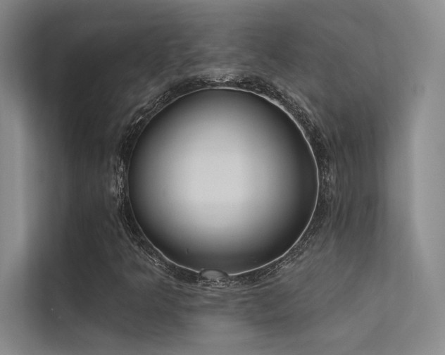 X0000113361349200909151227