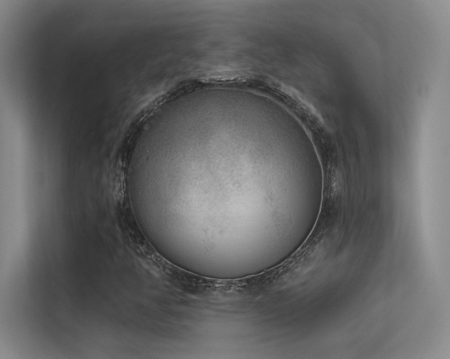 X0000113361350200909151227