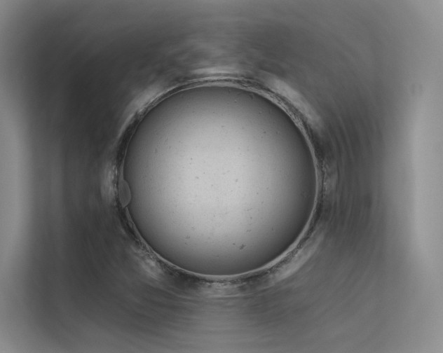 X0000113361357200909151227