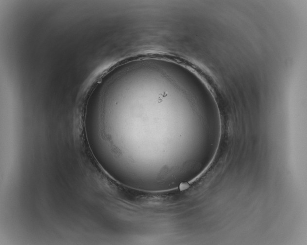 X0000113361359200909151227