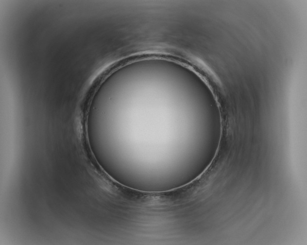 X0000113361360200909151227