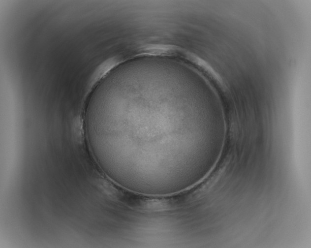 X0000113361362200909151227