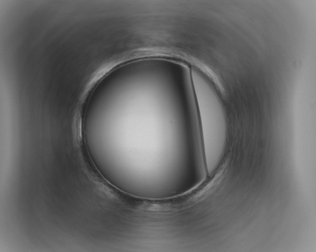 X0000113361365200909151227