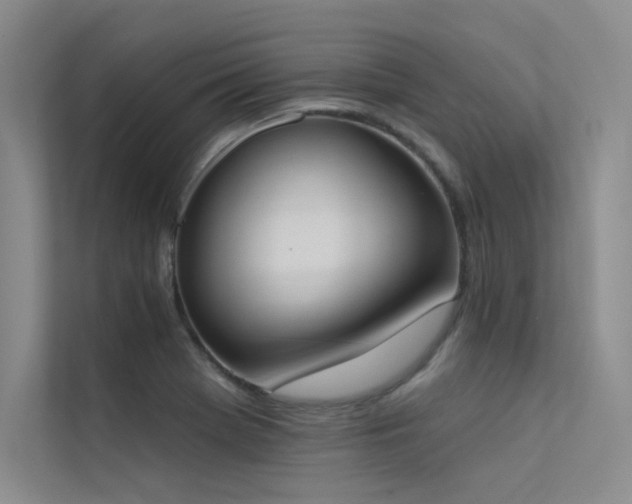 X0000113361369200909151227