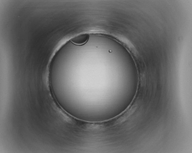 X0000113361374200909151227