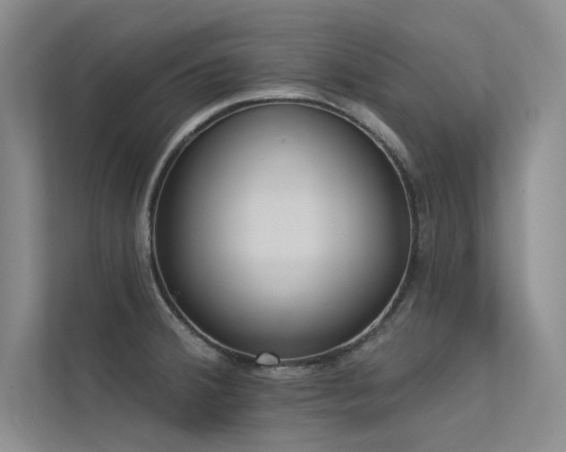 X0000113361380200909151227