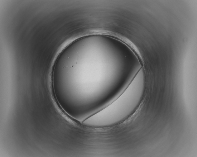 X0000113361381200909151226