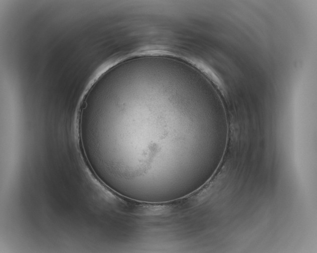 X0000113361382200909151226