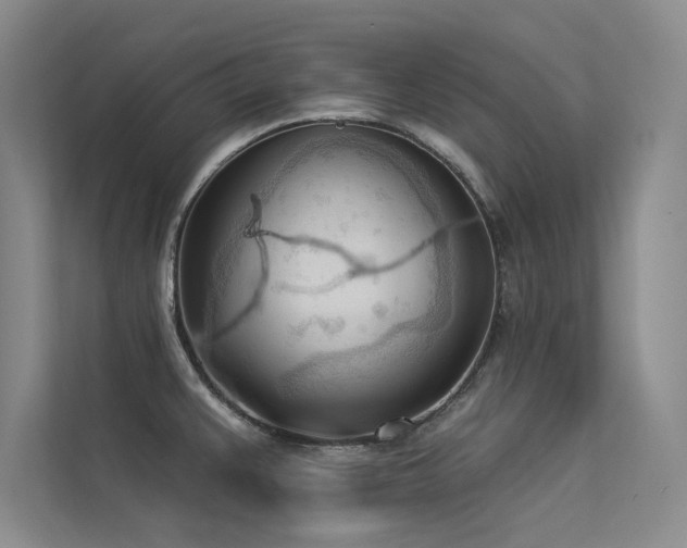 X0000113361383200909151226