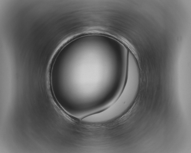 X0000113361384200909151226